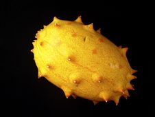 Horned Melon Royalty Free Stock Image