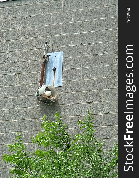 A broken light fixture on the side of an industrial building that a bird made good use of by building it's nest in it. A broken light fixture on the side of an industrial building that a bird made good use of by building it's nest in it.