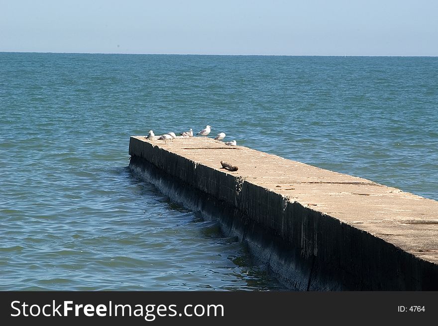 Close up of concrete breakwater with seagulls sitting at end