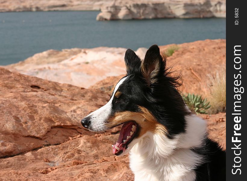 A beautiful day in his world with perfect temps, the sun and wind at his face. A beautiful day in his world with perfect temps, the sun and wind at his face.