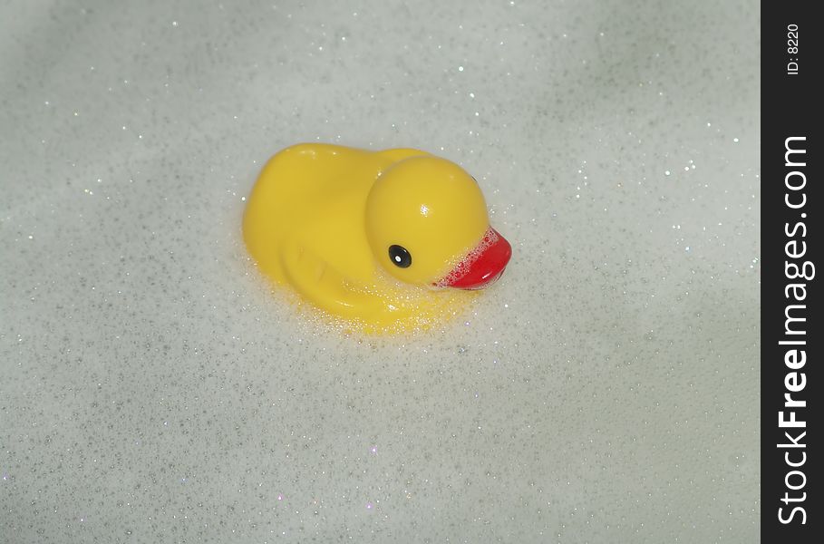 Rubber Duck In Bath