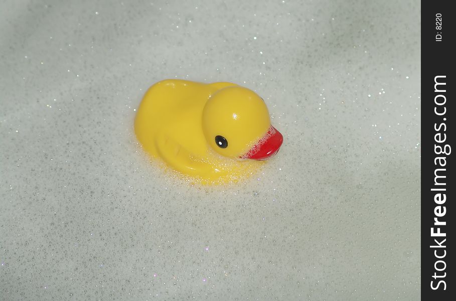 Rubber Duck in Bath