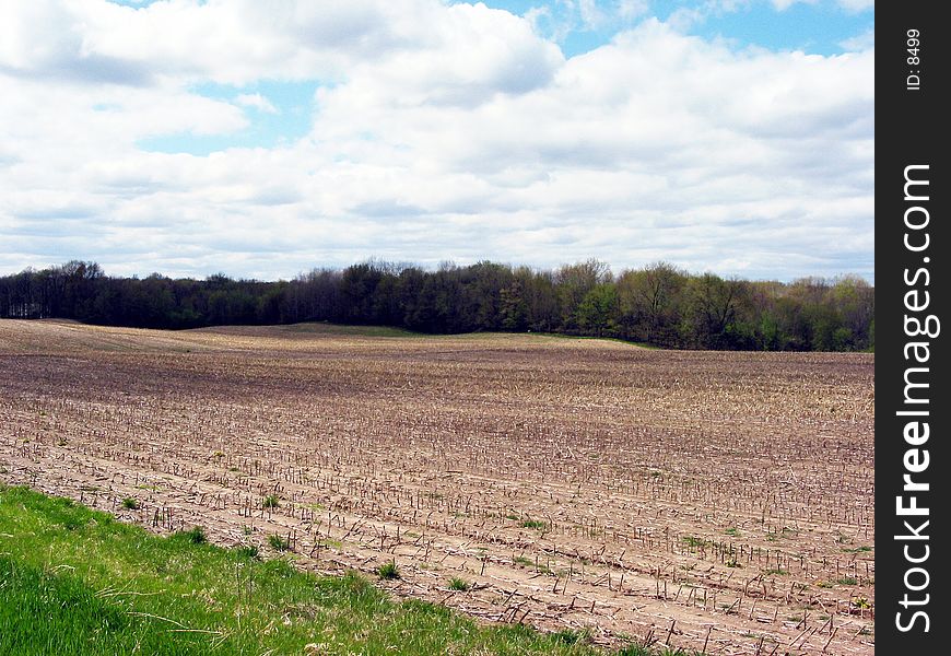 Field in Western Michigan