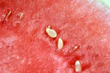 Water Melon Royalty Free Stock Photo