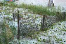 Fence In The Dunes Stock Images Fence In The Dunes Stock Images