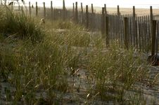 Fence In The Dunes Stock Photo Fence In The Dunes Stock Photo