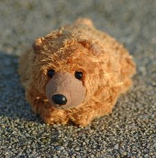 Bear Stock Photos Bear Stock Photos