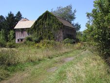 Ivy Covered Barn Royalty Free Stock Photos Ivy Covered Barn Royalty Free Stock Photos