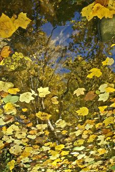 Reflections Royalty Free Stock Photography Reflections Royalty Free Stock Photography
