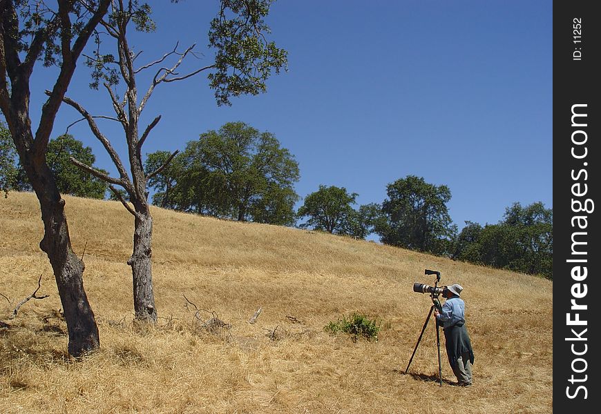 Birdwatcher taking pictures