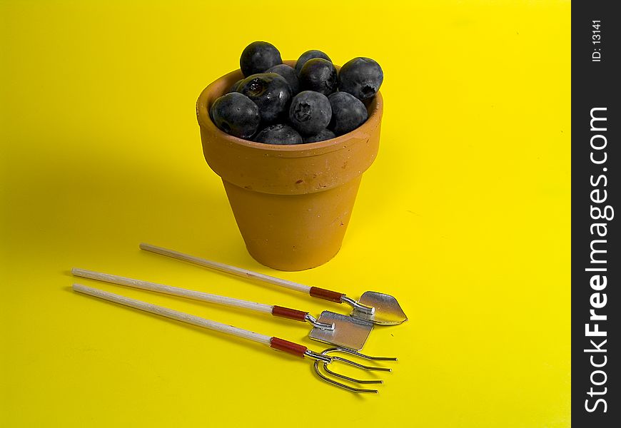 Photo of Clay Pot With Blueberries. Photo of Clay Pot With Blueberries