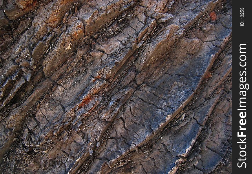 Close-up view of the trunk of a palm tree. Close-up view of the trunk of a palm tree.