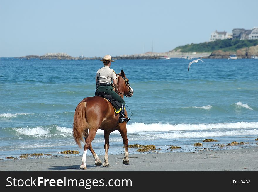 An environmental officer on horseback, patrolling the beach along the water's edge. An environmental officer on horseback, patrolling the beach along the water's edge