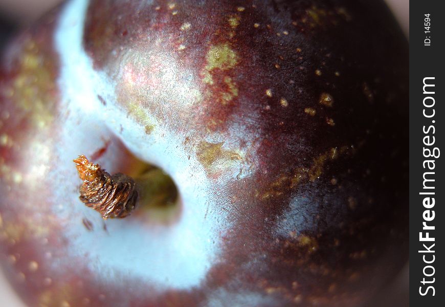 Closeup of a plum.