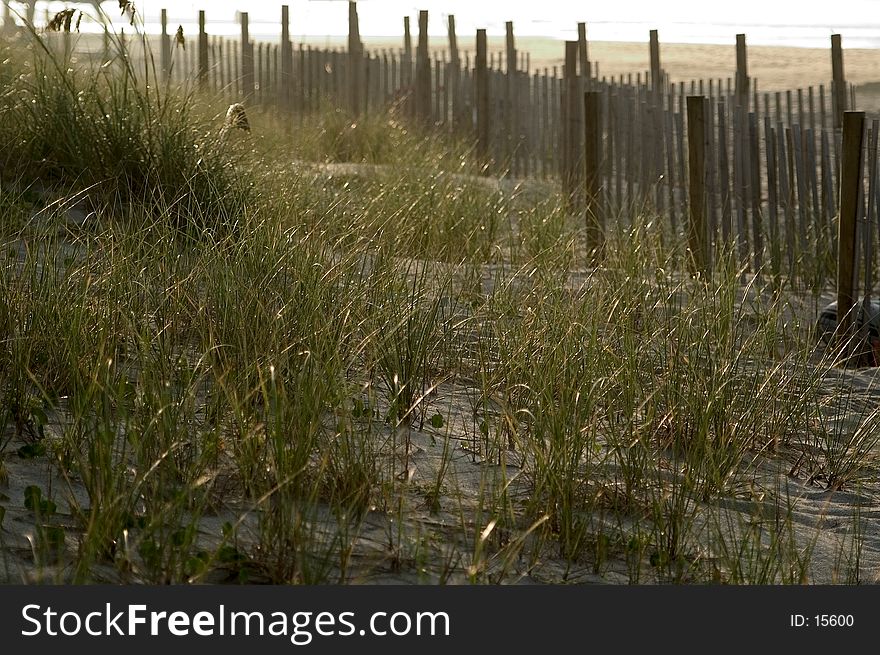 Fence In The Dunes