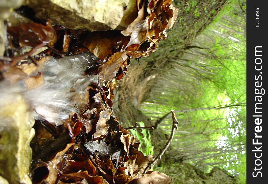 Small waterfall through leaves inside of a Slovakian forest in the mountains called Vysoke Tatry.