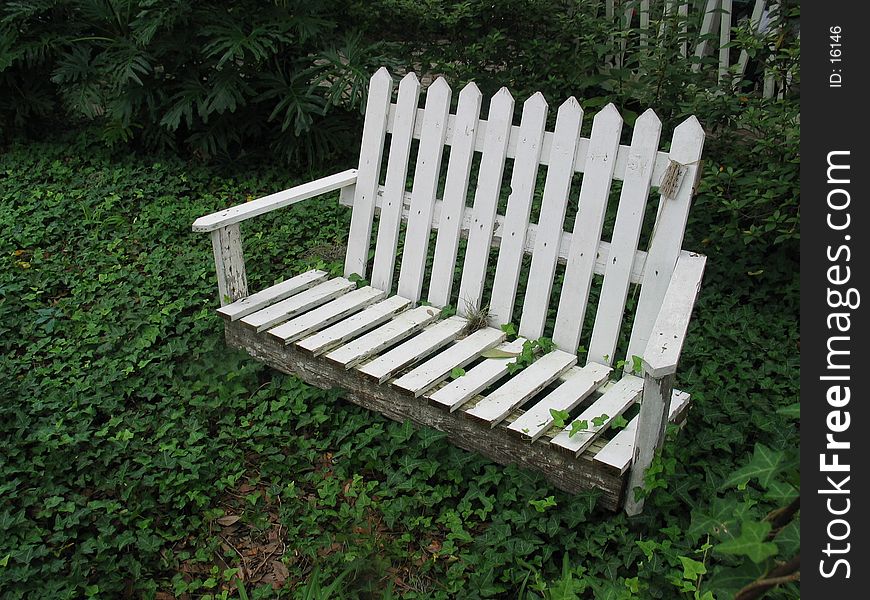 A white pickett fence bench sitting in a garden surrounded by ivy. A white pickett fence bench sitting in a garden surrounded by ivy