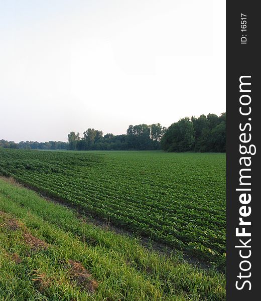 This field is located in central Illinois. This field is located in central Illinois.