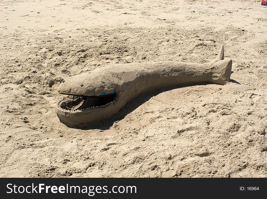 Sand Whale
