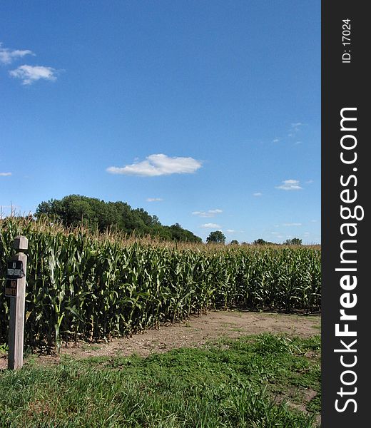 This field is located in central Illinois. This field is located in central Illinois.