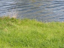 Riverbank Royalty Free Stock Image Riverbank Royalty Free Stock Image