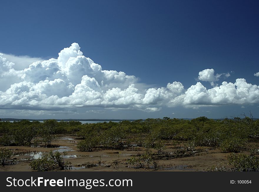 Pristine Coastline