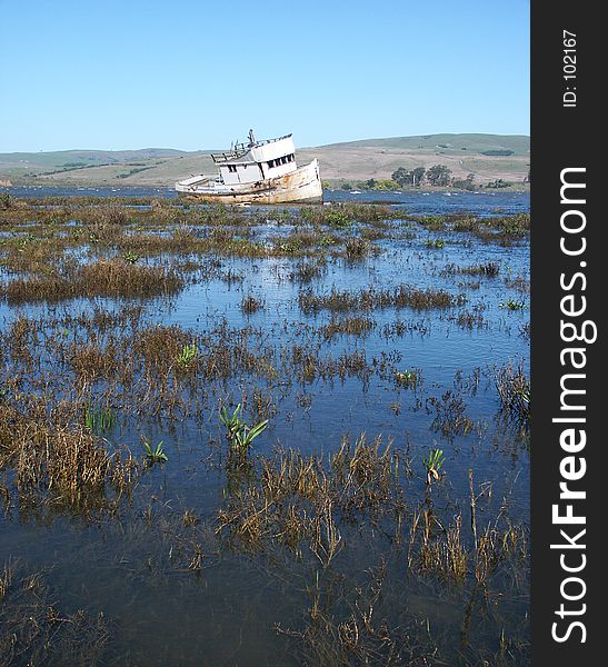 Shipwrecked boat lying in Tomales Bay just north of San Francisco.