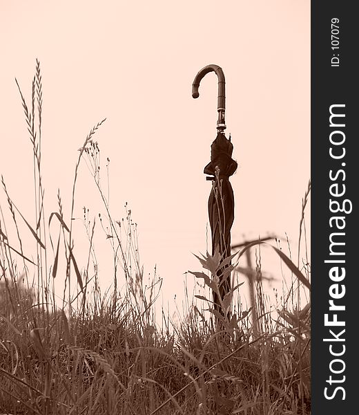 An old black umbrella stands alone at the top of a hill against the sky with tall grass growing around it. An old black umbrella stands alone at the top of a hill against the sky with tall grass growing around it