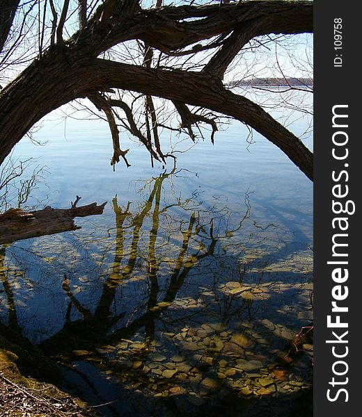Silhouette of an old tree reflected in crystal clear waters in the early spring sun. Silhouette of an old tree reflected in crystal clear waters in the early spring sun.
