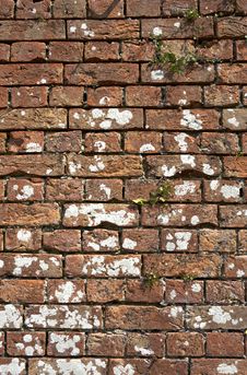 Old Weathered Red Brick Wall Royalty Free Stock Photos