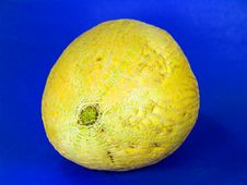 Cantaloupe Melon 3 Royalty Free Stock Photos Cantaloupe Melon 3 Royalty Free Stock Photos