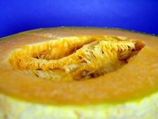 Cantaloupe Melon 1 Royalty Free Stock Photos Cantaloupe Melon 1 Royalty Free Stock Photos
