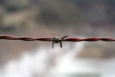 Strand Of Barbed Wire Royalty Free Stock Photo