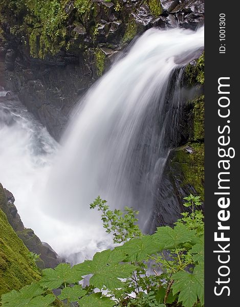 Sol Duc Fall At Olympic National Park