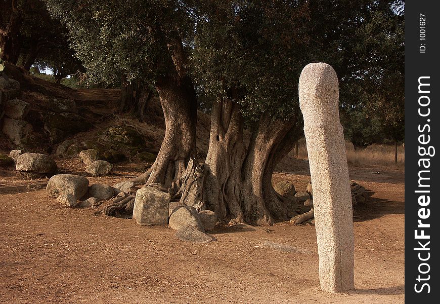 CORSICA Landscape