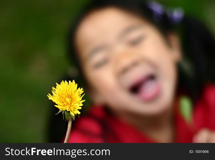 Child hand holding a dandelion. Child hand holding a dandelion