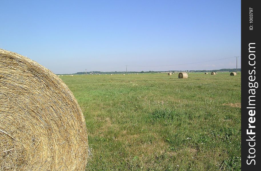Bales of hay on the polish field (Poland)