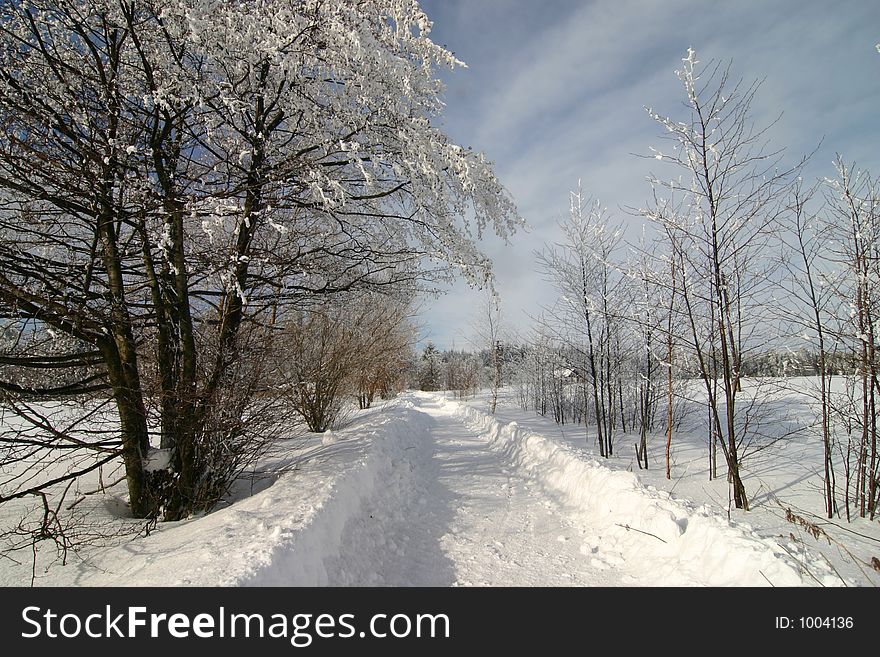 Picture of winter lanscape. Picture of winter lanscape