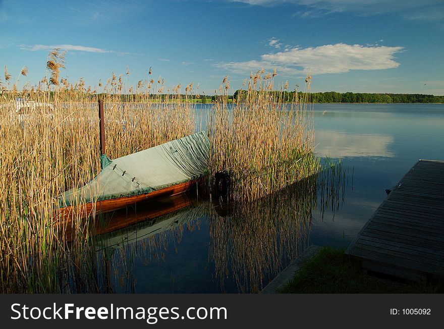 Wooden Boat In Reeds