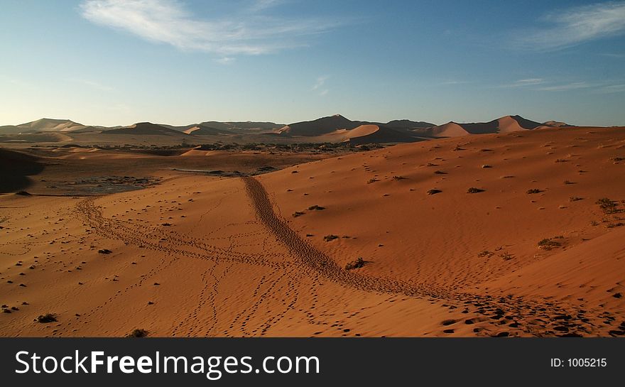 Track Through The Desert Landscape