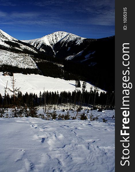 Winter In Giant Mountains