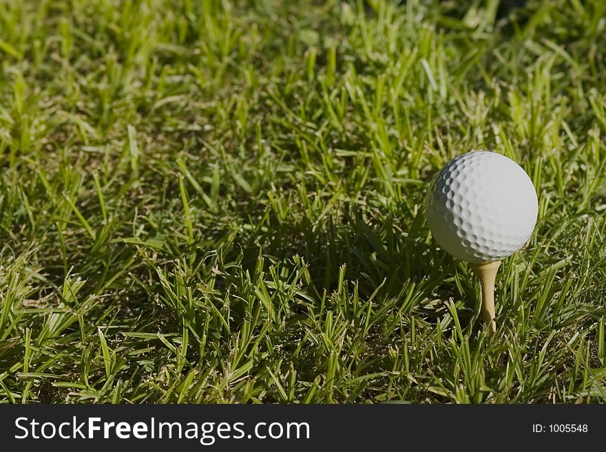 Golf ball in the grass. Golf ball in the grass