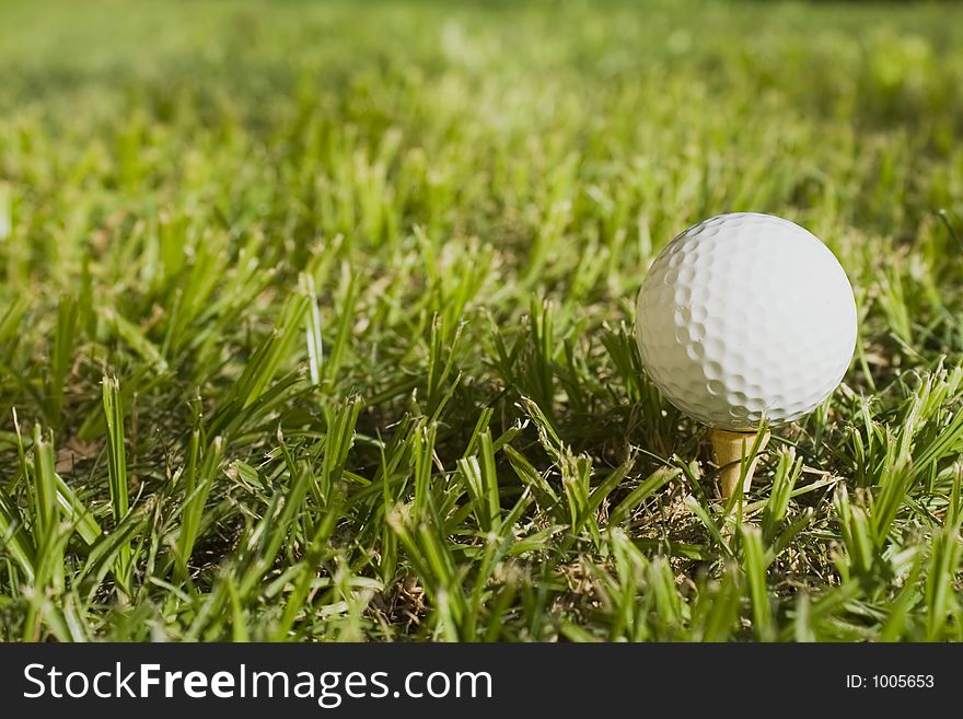 Golf ball in the grass. Golf ball in the grass