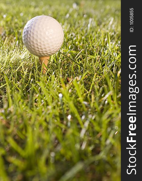 Golf ball in the grass. Golf ball in the grass