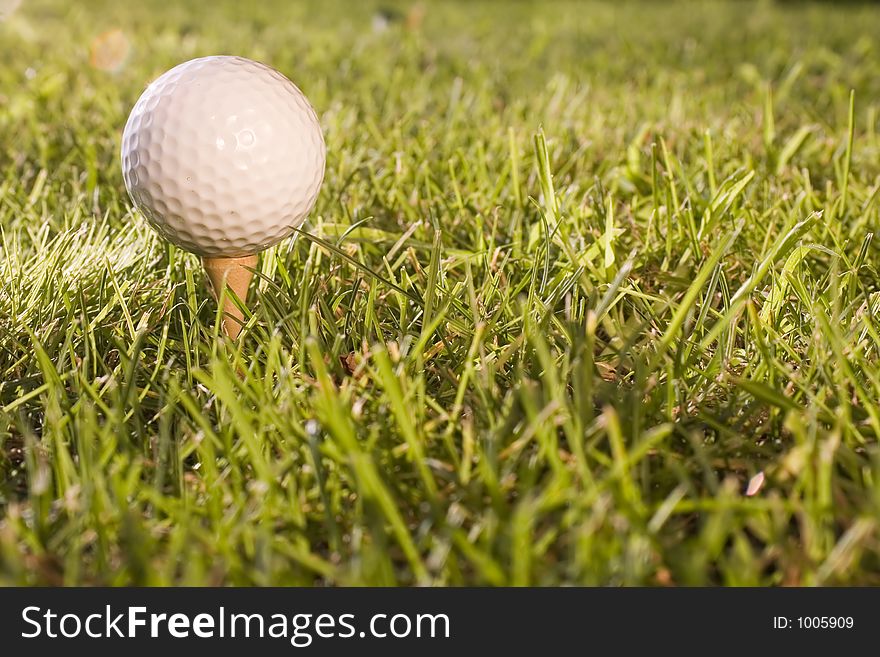 Golf ball in the grass. Golf ball in the grass