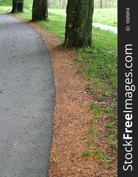 Curved road in a forest in denmark