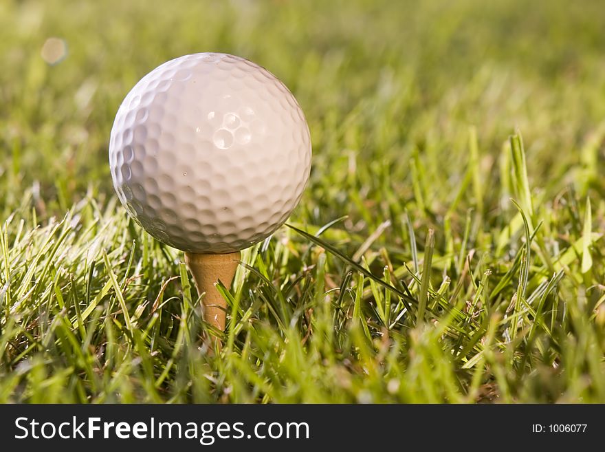 Golf ball in the grass. Golf ball in the grass