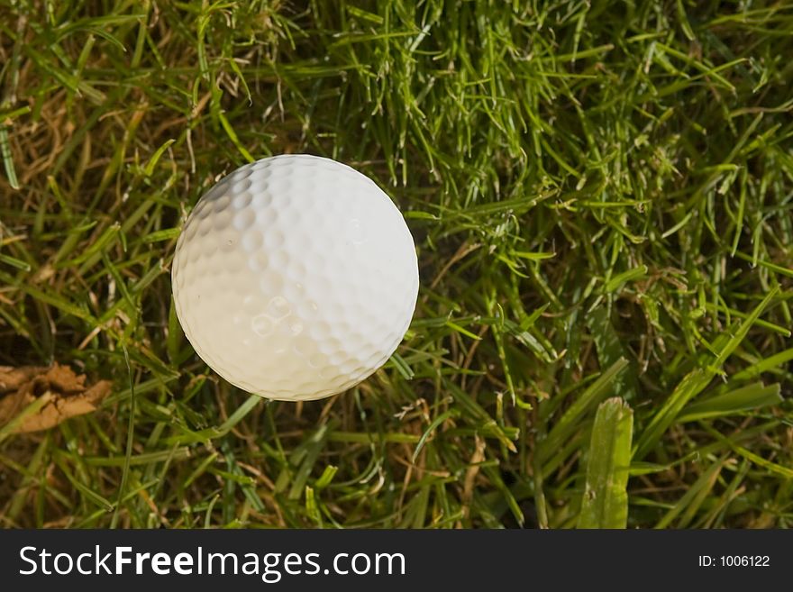 Golf ball in the grass. Golf ball in the grass