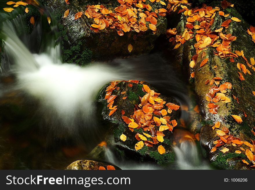 Autumn Stream In Giant Mountains