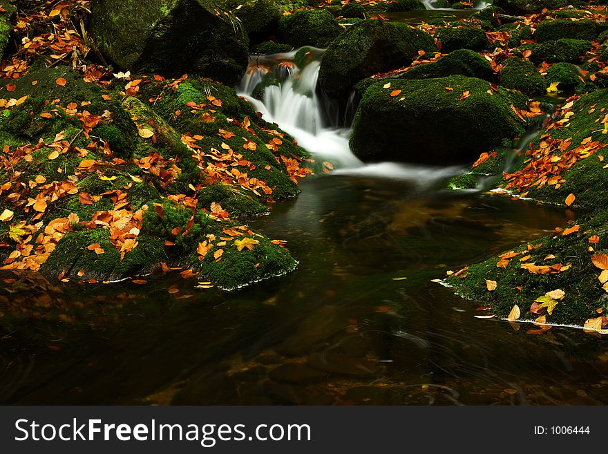 Autumn Stream In Giant Mountains